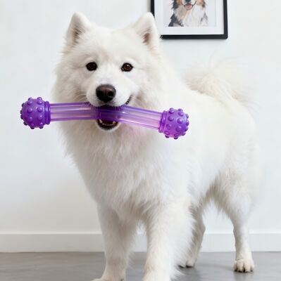 Granulés de TPU écologiques, moulés par injection ou extrusés, utilisés dans des produits tels que des jouets pour animaux de compagnie et des cordes de saut